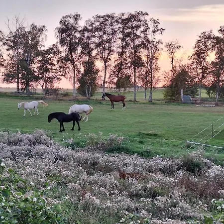 Js Feriendomizile Haus Abendrot بيت للعطل
