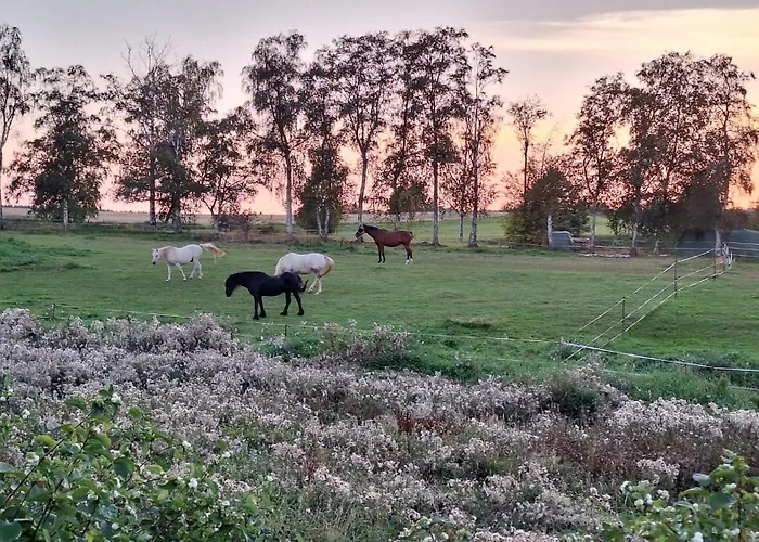 Js Feriendomizile Haus Abendrot Сasa de vacaciones